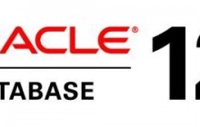 公司开发有ORACLE数据库恢复程序